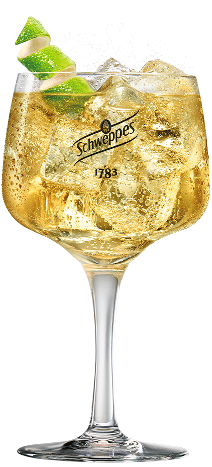 tonica-ginger-ale-jengibre-perfect-serve.png (1)
