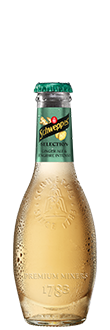 Ginger Ale Jengibre